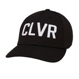 CLVR 2
