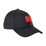 Premium Clover 24